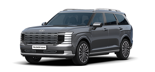 현대 팰리세이드